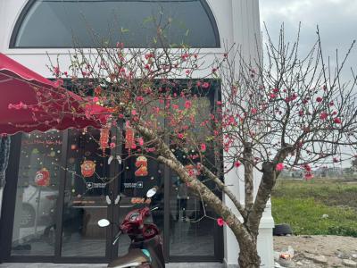 GIOI TRAN ELECTRONICS VĂN PHÒNG TẠI HẢI HẬU NAM ĐỊNH